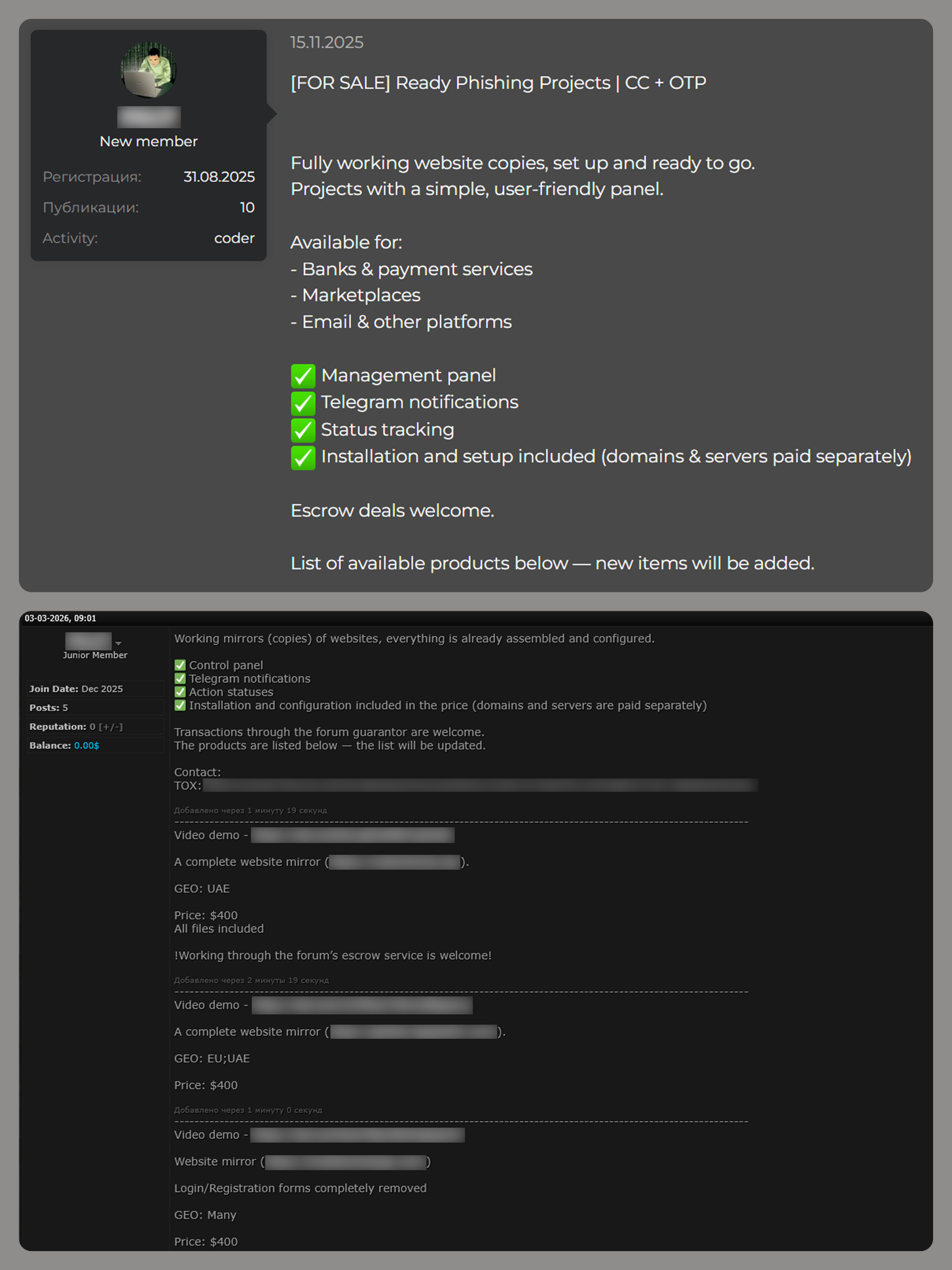 Examples of posts offering creation of phishing websites