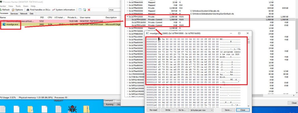 The injected DLL in&nbsp;Microsoft Edge