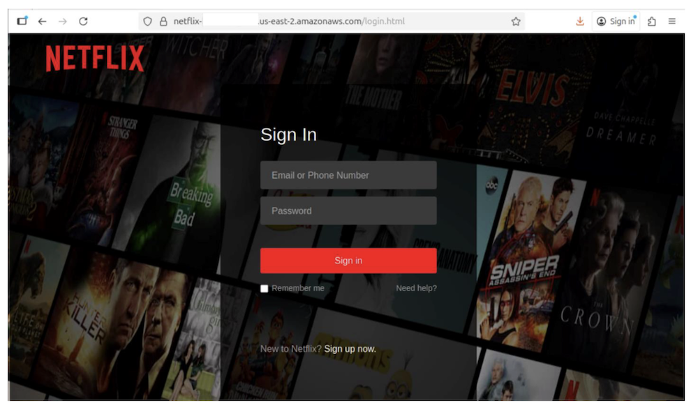 This may look exactly like the Netflix login page... but it's not. This scam landing page is meant to steal your username and password.