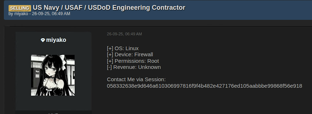 Advertisement for &ldquo;US Navy / USAF / USDoD Engineering Contractor&rdquo;