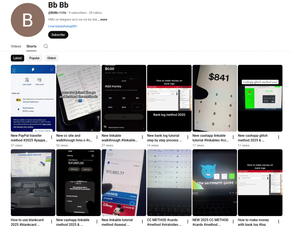 Credit card fraud content on publicly accessible YouTube