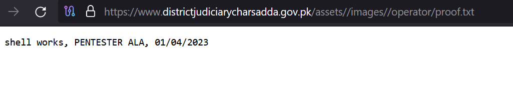 Figure 33 - proof.txt file.